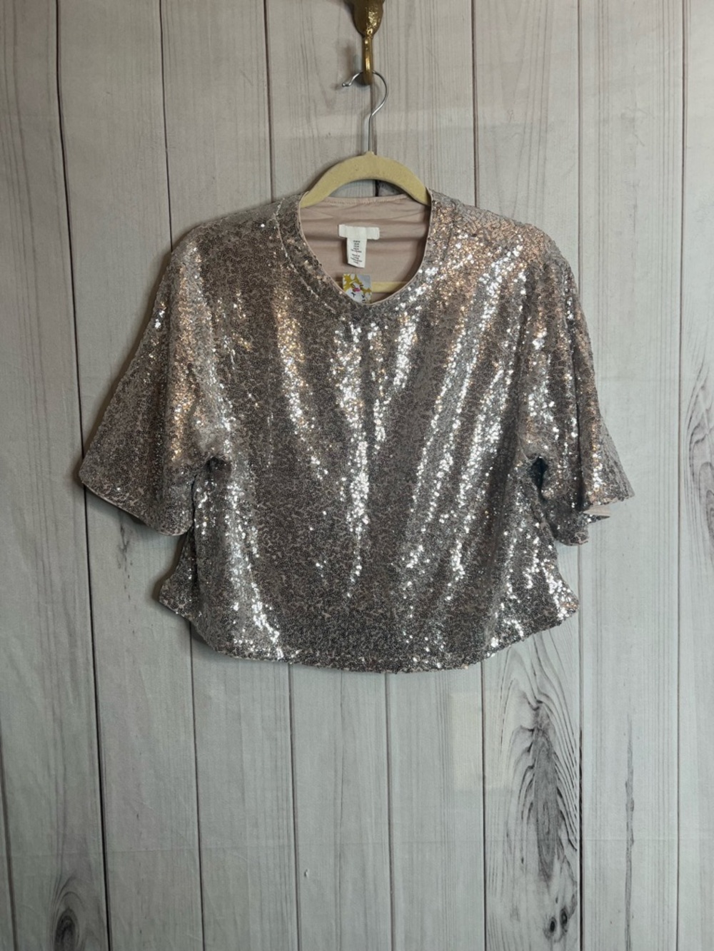 H&M Rose Gold Sequin Cropped Short Sleeve Top